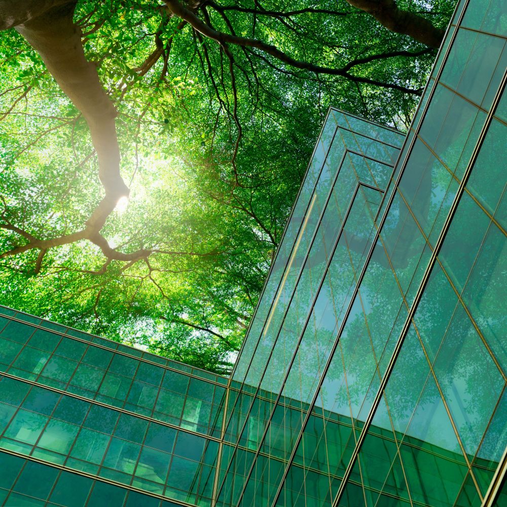 Planning Bill Amendments: What They Mean for Nature Recovery and Development