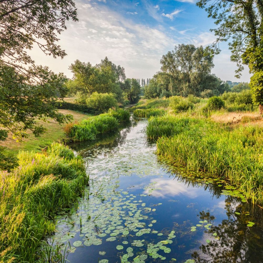 Thousands of New Homes Unlocked in North Sussex — Progress at Last for Stalled Sites