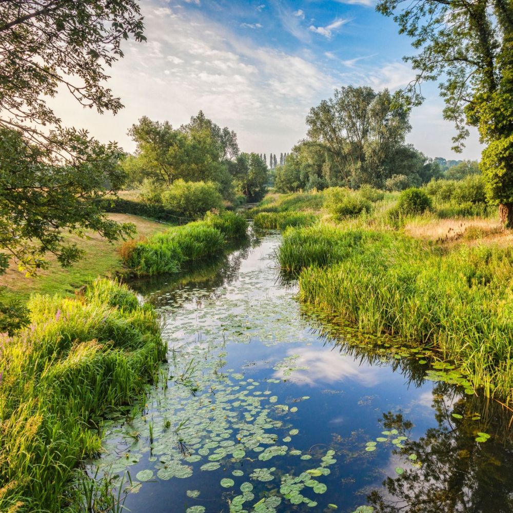 Update: Government Rejects Lords’ Amendment on Nature Recovery – What This Means for Development
